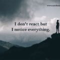 I don't react but I notice everything. 15 I don't react but I notice everything.