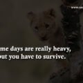 Some days are really heavy, but you have to survive. 15 Some days are really heavy, but you have to survive.