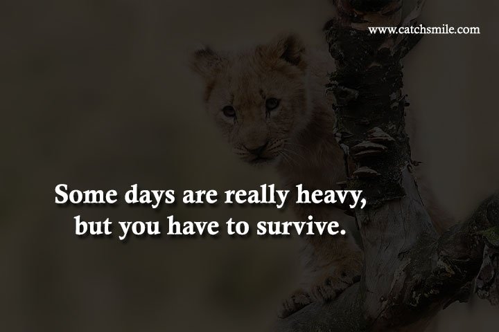 Some days are really heavy, but you have to survive. 10 Some days are really heavy, but you have to survive.