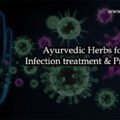 Ayurvedic Herbs for Infection treatment & Process