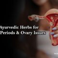 Best Ayurvedic Herbs for Stopped Periods & Ovary Issues