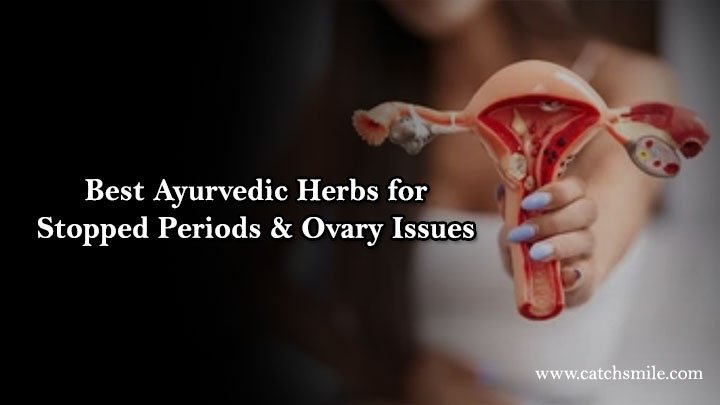 Best Ayurvedic Herbs for Stopped Periods & Ovary Issues 1 Best Ayurvedic Herbs for Stopped Periods & Ovary Issues