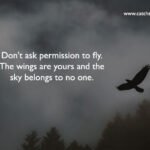 Don't ask permission to fly. The wings are yours and the sky belongs to no one. 13 Dont-ask-permission-to-fly.-The-wings-are-yours-and-the-sky-belongs-to-no-one