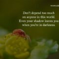 Don't depend too much on anyone in this world. Even your shadow leaves you when you're in darkness.
