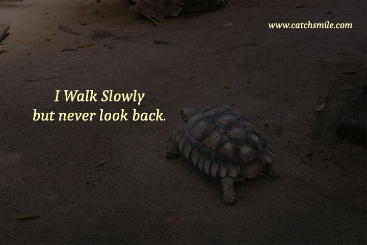 I Walk Slowly but never look back. 8 I Walk Slowly but never look back.