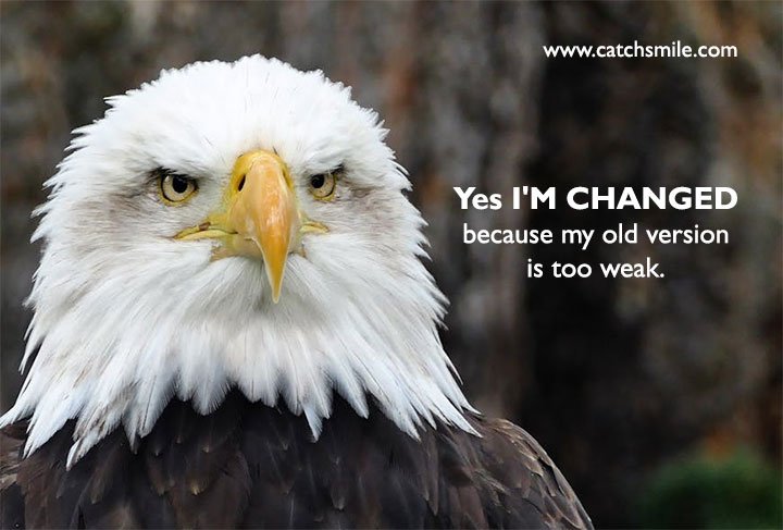 Yes I'M CHANGED because my old version is too weak.