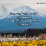 You can hurt me with your words, But i will kill you with my silence. 8 You can hurt me with your words, But i will kill you with my silence.