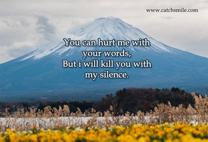 You can hurt me with your words, But i will kill you with my silence.