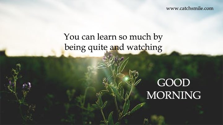 You can learn so much by being quite and watching - Good Morning 5 You can learn so much by being quite and watching - Good Morning