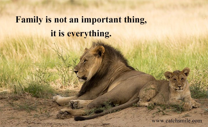 Family is not an important thing, it is everything.