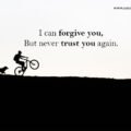 I can forgive you, But never trust you again.
