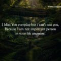 I miss you everyday but i can't text you, Because I am not important person in your life anymore.