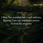 I miss you everyday but i can't text you, Because I am not important person in your life anymore.