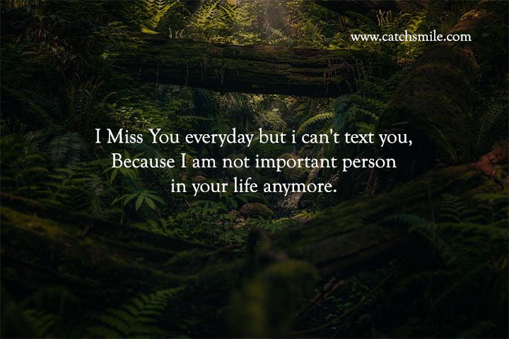 I miss you everyday but i can't text you, Because I am not important person in your life anymore.