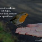 Innocent people are not stupid. They just think everyone has a good heart.