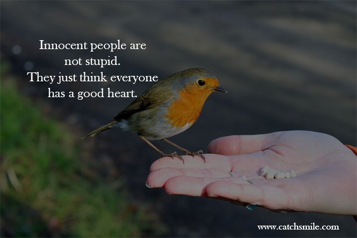 Innocent people are not stupid. They just think everyone has a good heart. 9 Innocent people are not stupid. They just think everyone has a good heart.