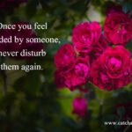 Once you feel avoided by someone, never disturb them again. 10 Once you feel avoided by someone, never disturb them again.