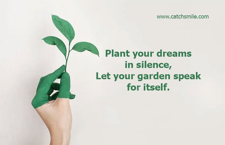Plant your dreams in silence, Let your garden speak for itself. 5 Plant your dreams in silence, Let your garden speak for itself.