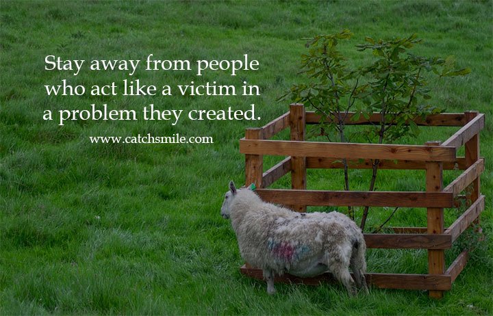 Stay away from people who act like a victim in a problem they created.