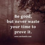 Be good, but never waste your time to prove it.