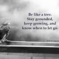 Be like a tree. Stay grounded, keep growing, and know when to let go. 15 Be like a tree. Stay grounded, keep growing, and know when to let go.