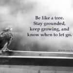 Be like a tree. Stay grounded, keep growing, and know when to let go.