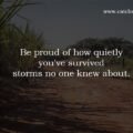 Be proud of how quietly you've survived storms no one knew about.