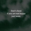 Don't cheat if you are not happy just leave.