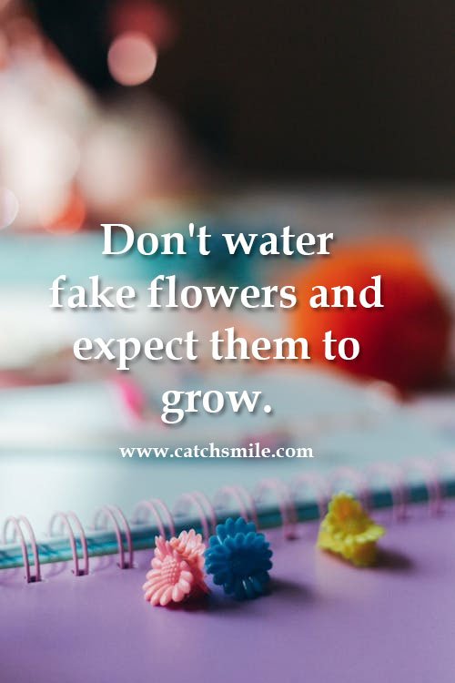 Don't water fake flowers and expect them to grow. 3 Don't water fake flowers and expect them to grow.