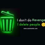 I don't do revenge, I delete people. 13 I don't do revenge, I delete people.