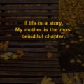 If life is a story, My mother is the most beautiful chapter.
