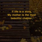 If life is a story, My mother is the most beautiful chapter.