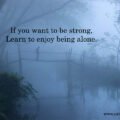 If you want to be strong, Learn to enjoy being alone.