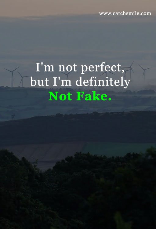 I'm not perfect, but I'm definitely Not Fake. 9 I'm not perfect, but I'm definitely Not Fake.
