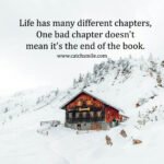 Life has many different chapters, One bad chapter doesn't mean it's the end of the book.