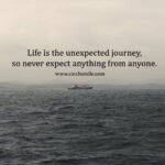 Life is the unexpected journey, so never expect anything from anyone.