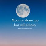 Moon is alone too but still shines.