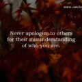 Never apologize to others for their misunderstanding of who you are.