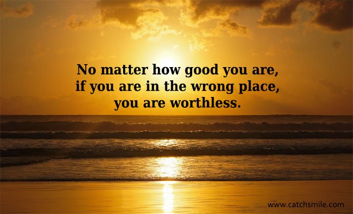 No matter how good you are, if you are in the wrong place, you are worthless. 15 No matter how good you are, if you are in the wrong place, you are worthless.