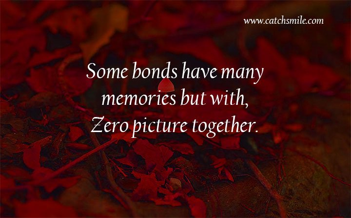 Some bonds have many memories but with, Zero picture together. 8 Some bonds have many memories but with, Zero picture together.