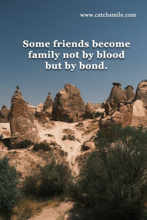 Some friends become family not by blood but by bond. 3 Some friends become family not by blood but by bond.