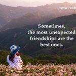 Sometimes, the most unexpected friendships are the best ones. 9 Sometimes, the most unexpected friendships are the best ones.
