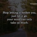Stop letting it bother you, just let it go. your mind can only take so much. 15 Stop letting it bother you, just let it go. your mind can only take so much.