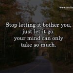 Stop letting it bother you, just let it go. your mind can only take so much. 13 Stop letting it bother you, just let it go. your mind can only take so much.