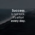 Success is not luck. It's effort every day.