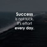 Success is not luck. It's effort every day.
