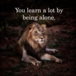 You learn a lot by being alone.