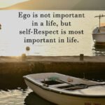 Ego is not important in a life but self-Respect is most important in life. 11 Ego is not important in a life but self-Respect is most important in life.