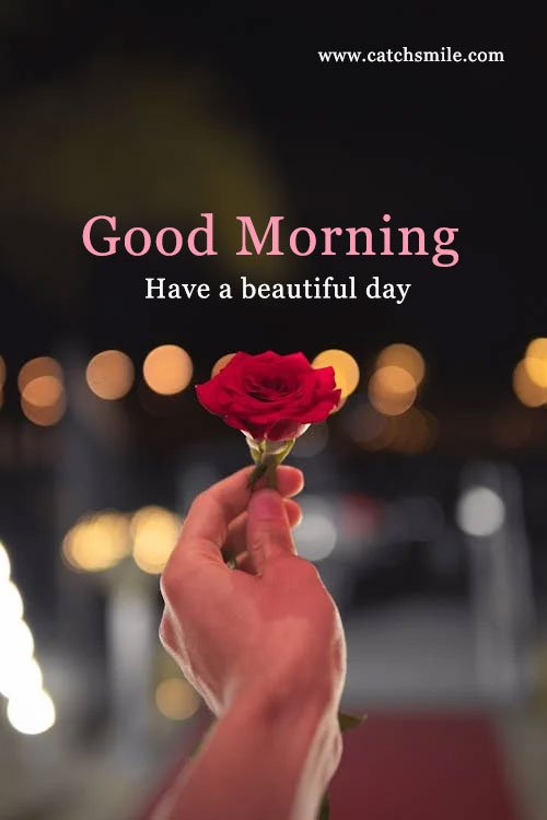 Good Morning - Have a beautiful day. 3 Good Morning - Have a beautiful day.