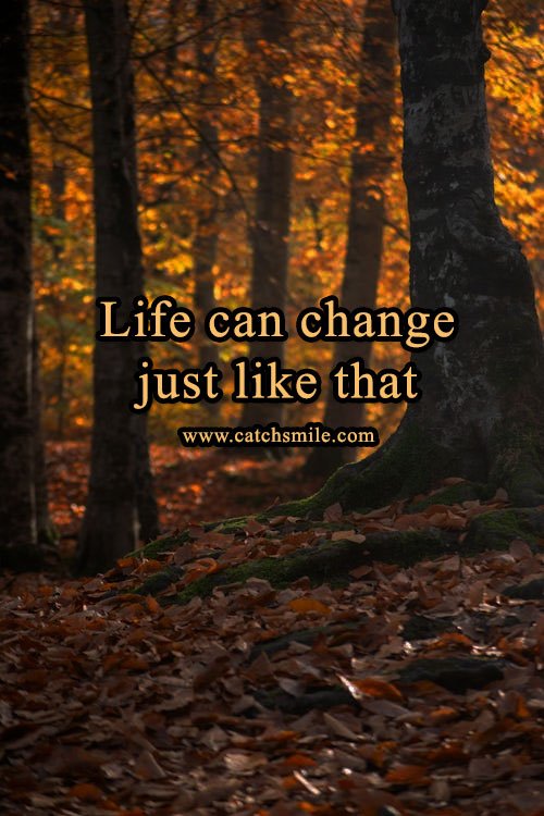 Life can change just like that 11 Life can change just like that